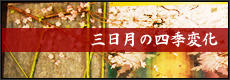 三日月の四季変化